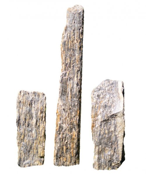 Dřevo zkamenělé špilka